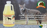 Just Scentsational RS-64 Coyote Urine for Gardens, Hunters, and Trappers, 64 oz (2 Quarts)