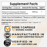 Nootropics Depot Lions Mane Mushroom Capsules | 8:1 Whole Fruiting Body Dual Extract | 500mg | 60 Count | Hericium erinaceus