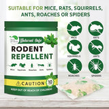 REALPETALED Natural Rodent Repellent Pouches: Mouse and Spider Repellent Indoor - Peppermint Oil to Repel Mice and Rats - Stay Away Rodent Repellent for House Basement Outdoor - 10 Pouches