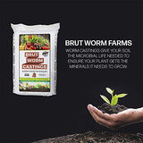 Brut Organic Worm Castings – 12 LB – Garden's Elixir for Thriving Blooms & Harvests!