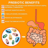 Probiotics with Prebiotics for Men and Women - 35 Strains Organic Probiotic 100 Billion CFU for Gut & Digestive Health, Vegan Acidophilus Probiotic Supplement, Non-GMO Raw Probiotic 120 Capsules