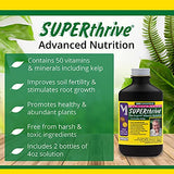 SuperThrive Plant Vitamin Solution Plant Food with 50 Vitamins & Kelp, 4 Ounce (2-Pack)