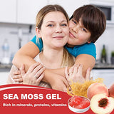 Sea Moss Gel, 18.5OZ Organic Raw Wildcrafted Irish Seamoss Gel Immune and Digestive Support Vitamin Mineral Antioxidant Supplements, Peach