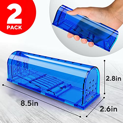 Humane Mouse Traps for Indoor, Home & Outdoor - Pack of 2 Reusable, Catch and Release Mouse Mice Traps - No Kill, Easy Set, Safe for Your Kids & Pets - Instantly Remove Unwanted Rodents from Your Home