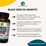 Amazing Herbs Premium Black Seed Oil Capsules - 1250mg per Capsule, High Potency, Cold Pressed Nigella Sativa Aids in Digestive Health, Immune Support & Brain Function - 60 Count, 1250mg