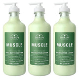 Village Naturals Therapy, Lotion, Aches and Pains Muscle Relief, 16 fl oz, Pack of 3