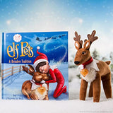 The Elf on the Shelf Elf Pets Traditions 2-Pack: A Reindeer Tradition and Arctic Fox Tradition