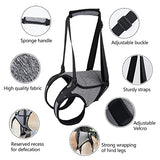 Dotoner Dog Sling for Large Dogs Hind Leg Support to Help Rehabilitate The Hind Limbs of Elderly Dogs with Weak Hind Legs Disabilities and Injuries Dog Harness Helps Arthritis ACL Recovery (L, Grey)