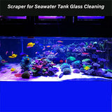 SWETOR Algae Scraper for Glass Aquarium, Fish Tank Algae Scraper Comes with 10 Replaceable Stainless Steel Blades, Essential Aquarium Cleaning Tools.