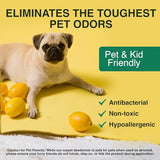 Good Natured Brand | Carpet Freshener & Deodorizer Powder | Pet Odor Eliminator for Strong Odor & Pet Urine | Fresh Natural Lemon & Eucalyptus | Biodegradable | Safe for Homes with Pets | 31oz 2 Pack