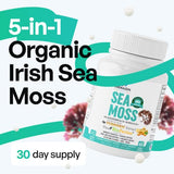 Organic Irish Sea Moss Pills - Wildcrafted Dr Sebi Inspired Seamoss Blend with Turmeric, Burdock Root & Bladderwrack, Enhanced with Black Pepper - 60 Capsules