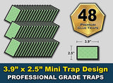MaxGuard Mini Glue Traps (48 Traps) Non-Toxic Extra Sticky Glue Board Pre-Baited with Fruity Scent Attractant Trap & Kill Insects, Bugs, Spiders, Crickets, Scorpions, Cockroaches, Centipedes, Mice