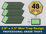 MAX GUARD Mini Glue Traps (48 Traps) Non-Toxic Extra Sticky Glue Board Pre-Baited with Fruity Scent Attractant Trap & Kill Insects, Bugs, Spiders, Crickets, Scorpions, Cockroaches, Centipedes, Mice