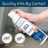 Wondercide - Ant & Roach Aerosol Spray for Kitchen, Home, and Indoor Areas - Ant, Roach, Spider, Flea, Stink Bug Killer with Natural Essential Oils - Pet Safe - 10 oz 2-Pack