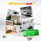 Utopia Home Humane Mouse Traps Indoor for Home (Pack of 4) - Green Reusable Mice Traps for House Indoor - Pet Safe Mouse Trap Easy to Set, Quick, Effective, & Safe Rodent Trap