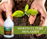 Medina Horticultural Molasses 4800 Sq. Ft. Liquid Gal