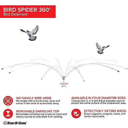 Bird B Gone - Bird Spider 360 Repellent - Deters Seagulls and Other Birds from Landing - Durable Weatherproof Design - for Boats, Docks, Roofs, Etc - Easy Installation - with PVC Base - 8ft