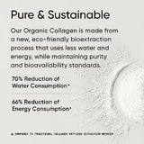 Sports Research Organic Collagen Peptides - Hydrolyzed Type I & III Collagen Protein Powder Made Sustainably from Grass-Fed Cows - Unflavored - 30 Servings