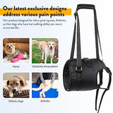 PZRLit Dog Lift Harness - Adjustable Sling Support for Large Dogs Hind Legs, Mobility Aid for Elderly Dogs - Hip & Back Leg Joint Injury Assistant Vest - Help Senior Disabled for Walking,Large,Black