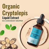 HERBAMAMA Cryptolepis Liquid Extract - Organic Tincture to Support Immunity, Stress Relief, Digestive Wellness & Body Cleanse - Vegan, No Sugar or Alcohol - 2 fl. oz