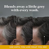 Just For Men Control GX Grey Reducing 2-in-1 Shampoo and Conditioner, Gradual Hair Color for Stronger and Healthier Hair, 4 Fl Oz - Pack of 1 (Packaging May Vary)