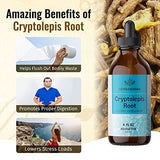 Cryptolepis Liquid Extract - Organic Tincture to Support Immunity, Stress Relief, Digestive Wellness & Body Cleanse - Natural Herbal Drops - Vegan Supplement, No Sugar or Alcohol - 4 fl. oz