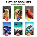 6 Pack Picture Book Set for Seniors with Dementia, Activities for Elderly Seniors, HD Image Quality-Provide Products for Alzheimer's Patients and Adults, Brain Exercise, Increased Communication