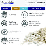 Superior Labs - Pure L-Theanine Non-GMO, No Additives - 250mg, 90 Vegetable Capsules - Powerful Formula for Healthy Sleep and Mood - Dietary Supplement for Calming and Relaxation