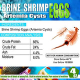 Brine Shrimp Eggs for Aquatic Foods Baby & Fry Foods The Popular 90% Hatch GSL Brine Shrimp Eggs (4 OZ)