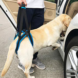 ROZKITCH Pet Dog Support Harness Rear Lifting Harness Veterinarian Approved for Old K9 Helps with Poor Stability, Joint Injuries Elderly and Arthritis ACL Rehabilitation Rehab L Blue