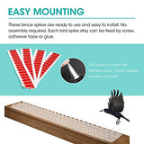 Touri 24 Pack Clear Transparent PVC Bird Spikes Deterrent Strips for Outside to Keep Birds, Pigeons, Cats, Squirrels, Raccoons Away