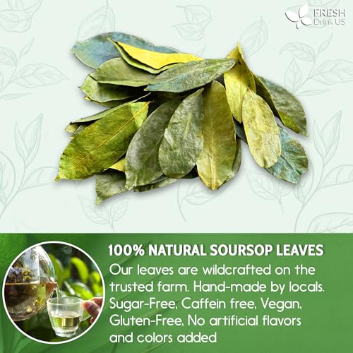 FreshDrinkUS, 230+ Premium Soursop Graviola Leaves Tea, 230-250 Natural Whole Dried Leaves, Wildcrafted, Graviola, Soursop, Hoja Guanabana, Soursop Loose Leaf Herbal Tea, No Gluten, Vegan, Soursop/ Guanabana/ Graviola Tea