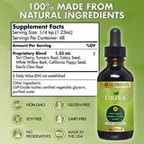 Go Nutrients Uriva - Advanced Uric Acid Flush and Cleanse with Tart Cherry Extract, Celery Seed Extract, Turmeric & More - High Absorption Liquid Drops Supplement for Joints and Kidney - 2 oz