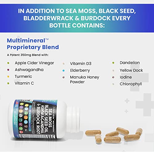 Sea Moss 3000mg Black Seed Oil 2000mg Ashwagandha 1000mg Turmeric 1000mg Bladderwrack 1000mg Burdock 1000mg & Vitamin C Vitamin D3 with Elderberry Manuka Dandelion Yellow Dock Iodine Chlorophyll ACV