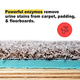 Urine Gone Stain & Odor Eliminator: Professional Strength Fast-Acting Enzyme-Based Solution, Instantly Penetrates and Neutralizes into the Fibers of a Carpet, Stops Pets from Remarking…