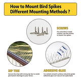 KKY 48 Pack Bird Spikes –13 inch Anti-Bird Nails Bird Repellent Metal Bird Deterant Spinners of Stainless Steel Bird Spikes for Pigeon and Other Small Birds 51.9 Feet