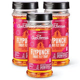 Aunt Fannie’s FlyPunch Fruit Fly Trap (3 Pack): for Indoor and Kitchen Use – Made with Plant Based Ingredients