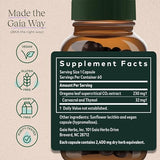 Gaia Herbs Oil of Oregano - Immune and Antioxidant Support Supplement to Help Sustain Overall Well-Being - with Oregano Oil, Carvacrol, and Thymol - 60 Vegan Liquid Phyto-Capsules (30-Day Supply)