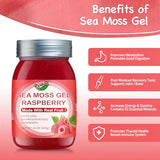 QANLOI Sea Moss Gel Seamoss-15OZ Organic Sea Moss Gel-Rich in Irish Sea Moss-with Sea Moss Raw Organic-Antioxidant Health Supplement,Vegan-Friendly(Raspberry)