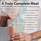 PlantFusion Complete Meal Replacement Shake - Plant Based Protein Powder with Superfoods, Greens & Probiotics - Vegan, Gluten Free, Soy Free, Non-Dairy, No Sugar, Non-GMO - Vanilla 2 lb