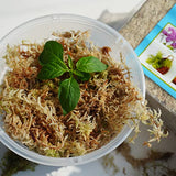 Kapecute Sphagnum Moss 1.2 lb Perfect for DIY Moss Pole, Great Potting Mix for Indoor Plants, Help with Maintain Humidity