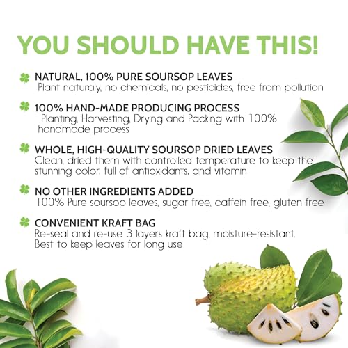 FreshDrinkUS, 230+ Premium Soursop Graviola Leaves Tea, 230-250 Natural Whole Dried Leaves, Wildcrafted, Graviola, Soursop, Hoja Guanabana, Soursop Loose Leaf Herbal Tea, No Gluten, Vegan, Soursop/ Guanabana/ Graviola Tea