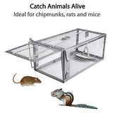 Gingbau 2-Pack Rat Traps Humane Live Chipmunk Cage Traps