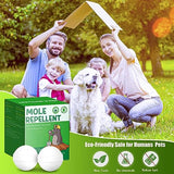 24pack Mole Repellent, Mouse Repellent, Groundhog Repellent, Gopher Repellent, Vole Repellent for Lawn Garden Yard Outdoor, Armadillo Repellent, Mole Deterrent