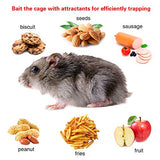 KOCASO 1-Pack Humane Rat Trap, 1-Door Small Live Chipmunk Trap That Work for Indoor Outdoor, Easy to Catch and Release Live Animal Trap Mouse Trap Cage for Rodent Mice Voles Hamsters, Metal & Reusable