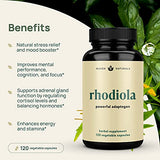 Rhodiola Rosea 600 mg - 120 Vegan Capsules - Ultra Potent Rhodiola Supplement for Natural Stress Support and Mood Boost - Rhodiola Rosea Extract (3% Salidroside & 1% Rosavins) - Powerful Adaptogen