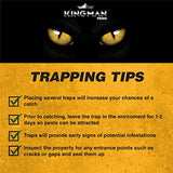 Kingman Prime Mouse Trap Rat Trap Glue Trap/Board (Large Size) (6 Pack / 12 Traps) Rodent Trap Safe Easy Non-Toxic