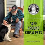 Grandpa Gus's Rodent Repellent Spray with Sprayer, Natural Peppermint & Cinnamon Oils Repel Mice and Stop Rats & Squirrels, 1 Gallon (Pack of 1)