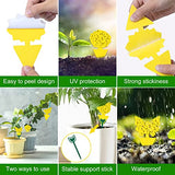 Stingmon 60 Pack Sticky Traps Indoor Plants Fruit Fly Traps, Yellow Sticky Trap Killer for Insects, Fungus Gnat Traps Sticky for House Plants Bugs
