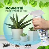 8oz Insect and Pest Control Peppermint Oil - Natural Spray for Spiders, Ants, and More (2)